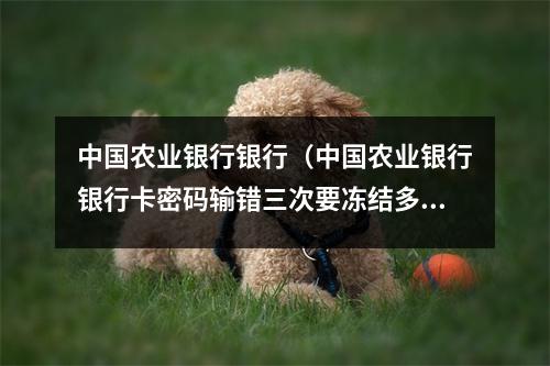 中国农业银行银行（中国农业银行银行卡密码输错三次要冻结多久）