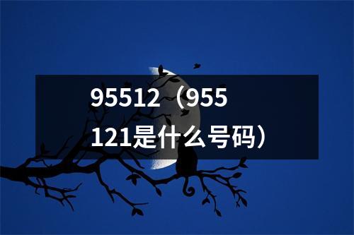 95512（955121是什么号码）