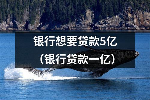 银行想要贷款5亿(银行贷款一亿)