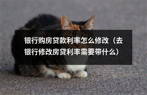 银行购房贷款利率怎么修改（去银行修改房贷利率需要带什么）