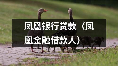 凤凰银行贷款（凤凰金融借款人）