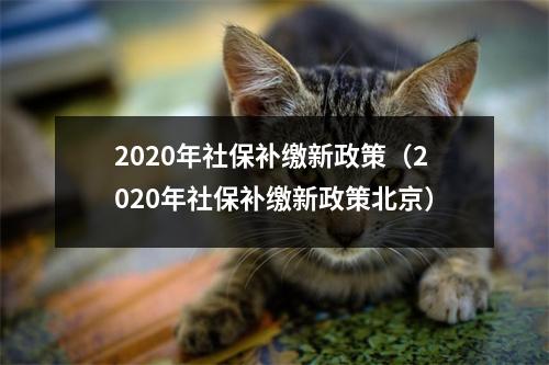 2020年社保补缴新政策（2020年社保补缴新政策北京）