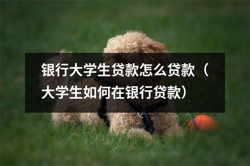 银行大学生贷款怎么贷款（大学生如何在银行贷款）