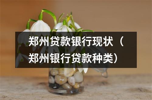 郑州贷款银行现状（郑州银行贷款种类）