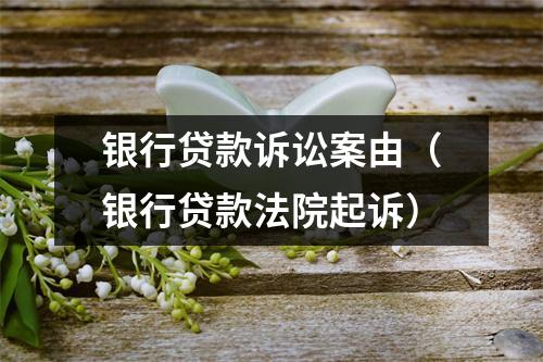银行贷款诉讼案由（银行贷款法院起诉）