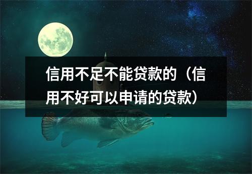 信用不足不能贷款的（信用不好可以申请的贷款）