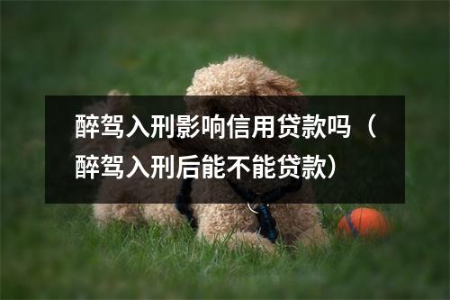 醉驾入刑影响信用贷款吗（醉驾入刑后能不能贷款）