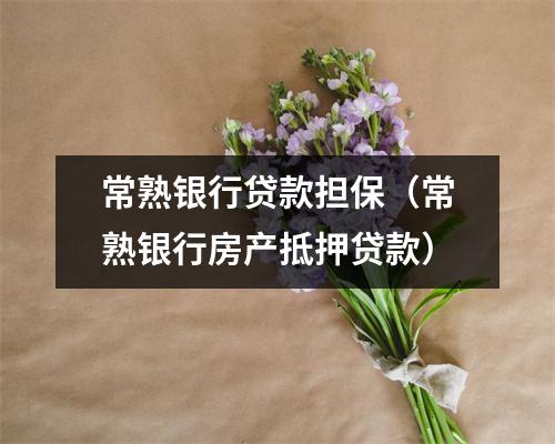 常熟银行贷款担保（常熟银行房产抵押贷款）