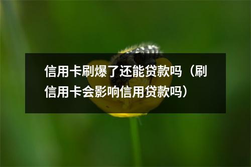 信用卡刷爆了还能贷款吗（刷信用卡会影响信用贷款吗）