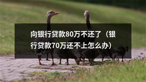 向银行贷款80万不还了（银行贷款70万还不上怎么办）