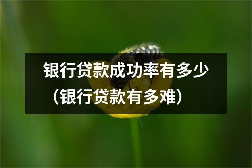 银行贷款成功率有多少（银行贷款有多难）