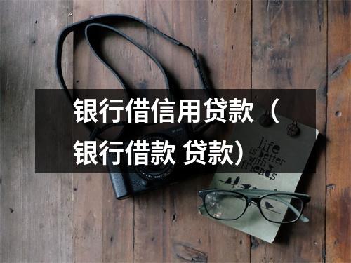 银行借信用贷款（银行借款 贷款）