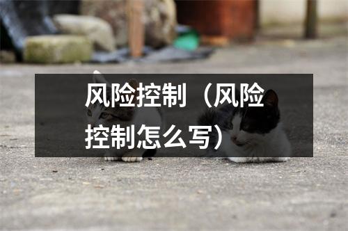 风险控制（风险控制怎么写）