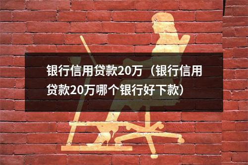 银行信用贷款20万（银行信用贷款20万哪个银行好下款）