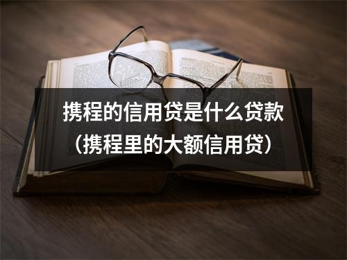 携程的信用贷是什么贷款（携程里的大额信用贷）