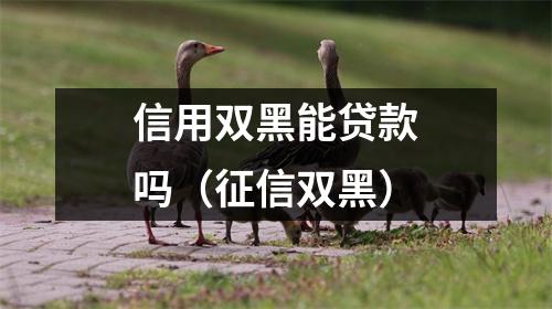 信用双黑能贷款吗(征信双黑)