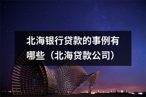 北海银行贷款的事例有哪些（北海贷款公司）