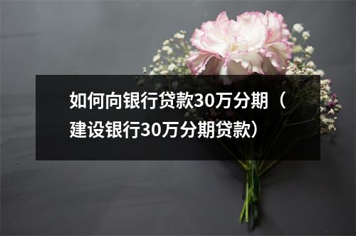 如何向银行贷款30万分期（建设银行30万分期贷款）
