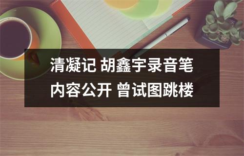 清凝记 胡鑫宇录音笔内容公开 曾试图跳楼