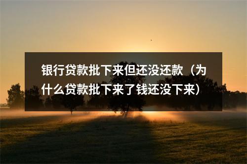 银行贷款批下来但还没还款（为什么贷款批下来了钱还没下来）