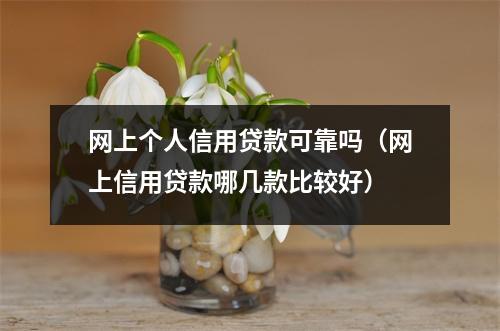 网上个人信用贷款可靠吗（网上信用贷款哪几款比较好）