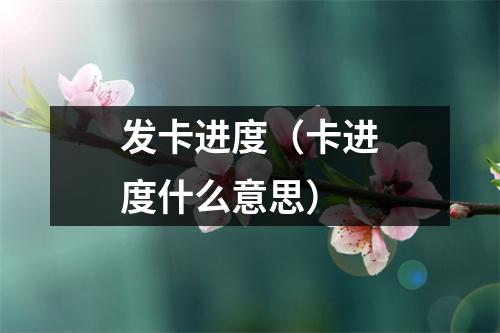 发卡进度(卡进度什么意思)