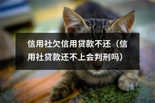 信用社欠信用贷款不还（信用社贷款还不上会判刑吗）