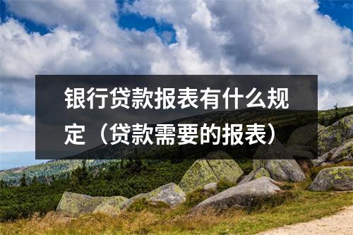 银行贷款报表有什么规定（贷款需要的报表）