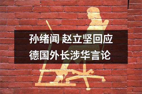 孙绪闻 赵立坚回应德国外长涉华言论