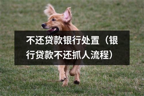 不还贷款银行处置（银行贷款不还抓人流程）