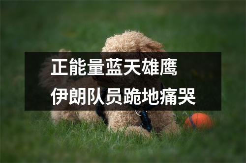 正能量蓝天雄鹰 伊朗队员跪地痛哭