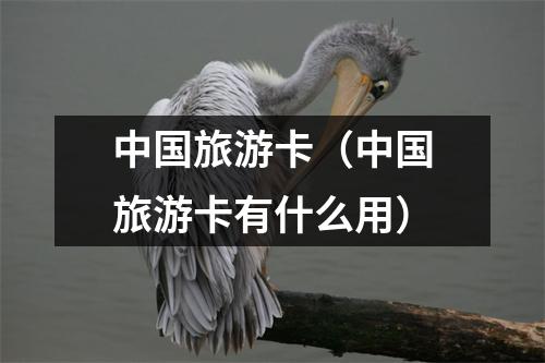 中国旅游卡（中国旅游卡有什么用）