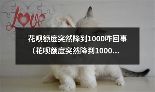 花呗额度突然降到1000咋回事（花呗额度突然降到1000咋回事还款后能恢复多少）