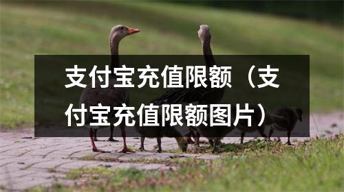支付宝充值限额(支付宝充值限额图片)