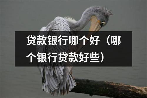 贷款银行哪个好（哪个银行贷款好些）
