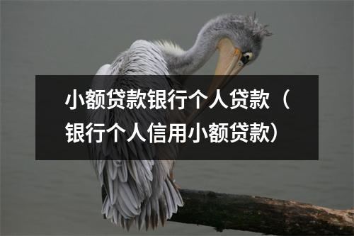 小额贷款银行个人贷款（银行个人信用小额贷款）
