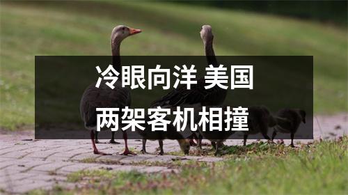 冷眼向洋 美国两架客机相撞