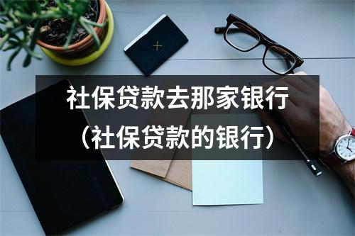 社保贷款去那家银行（社保贷款的银行）