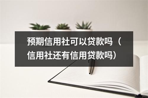 预期信用社可以贷款吗(信用社还有信用贷款吗)