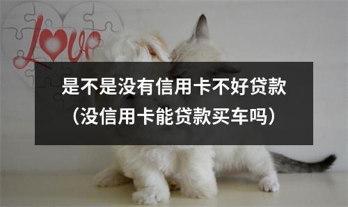 是不是没有信用卡不好贷款（没信用卡能贷款买车吗）