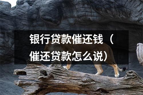 银行贷款催还钱（催还贷款怎么说）