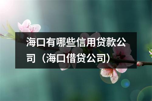 海口有哪些信用贷款公司（海口借贷公司）