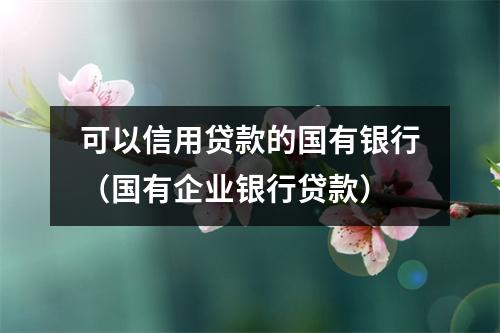 可以信用贷款的国有银行（国有企业银行贷款）
