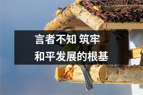 言者不知 筑牢和平发展的根基