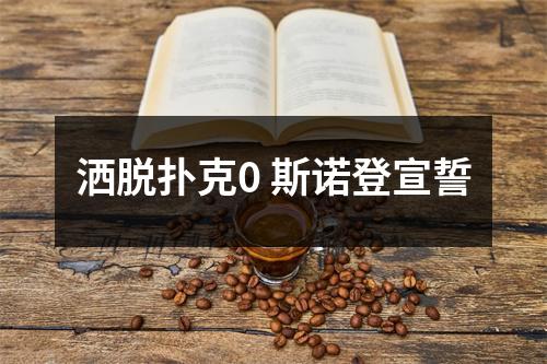 洒脱扑克0 斯诺登宣誓