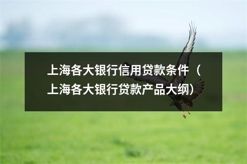 上海各大银行信用贷款条件（上海各大银行贷款产品大纲）