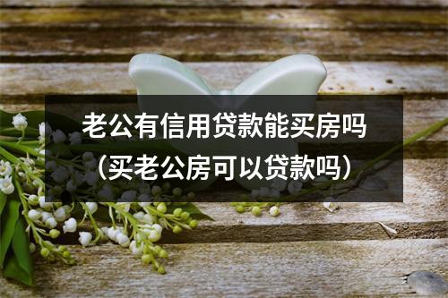 老公有信用贷款能买房吗（买老公房可以贷款吗）