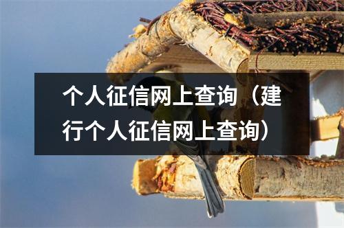 个人征信网上查询（建行个人征信网上查询）