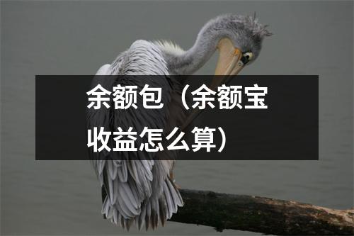 余额包（余额宝收益怎么算）