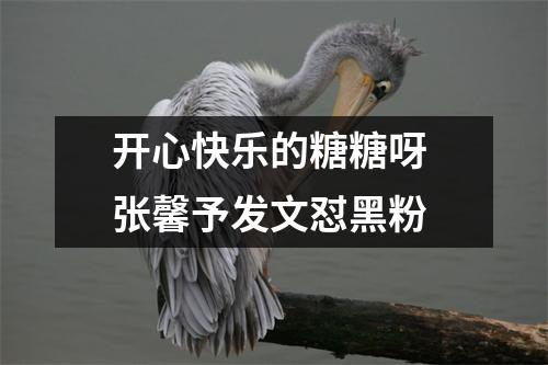开心快乐的糖糖呀 张馨予发文怼黑粉